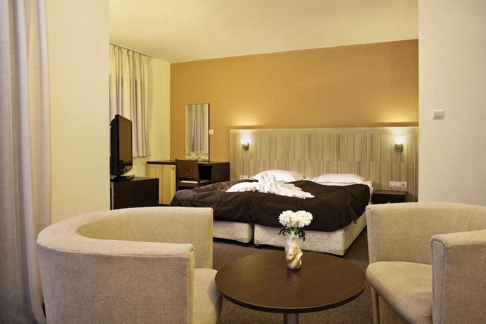 Standard Double Room (Free Sauna, Steam Bath, Fitness) photo 1