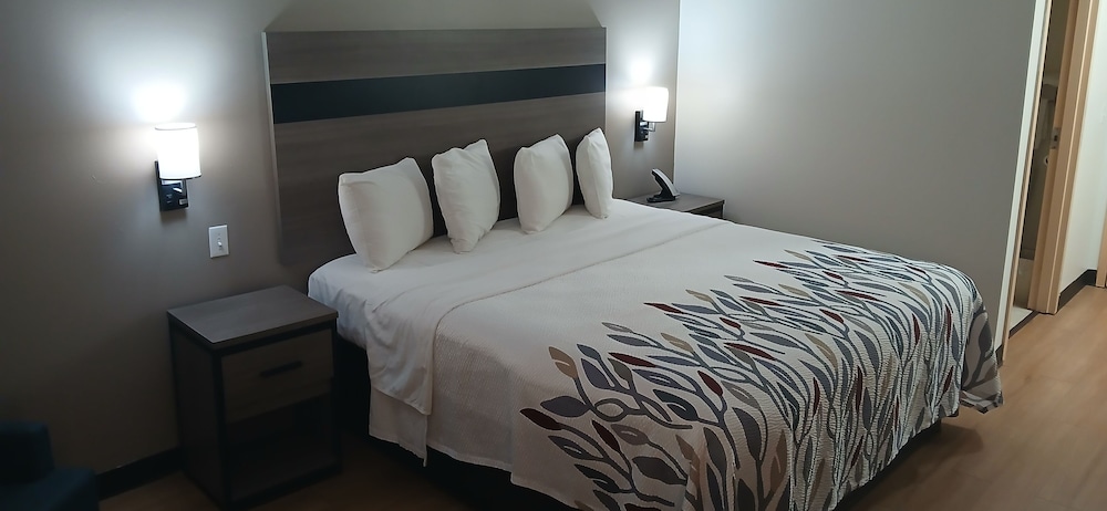 Deluxe Room, 1 King Bed, Non Smoking photo 1