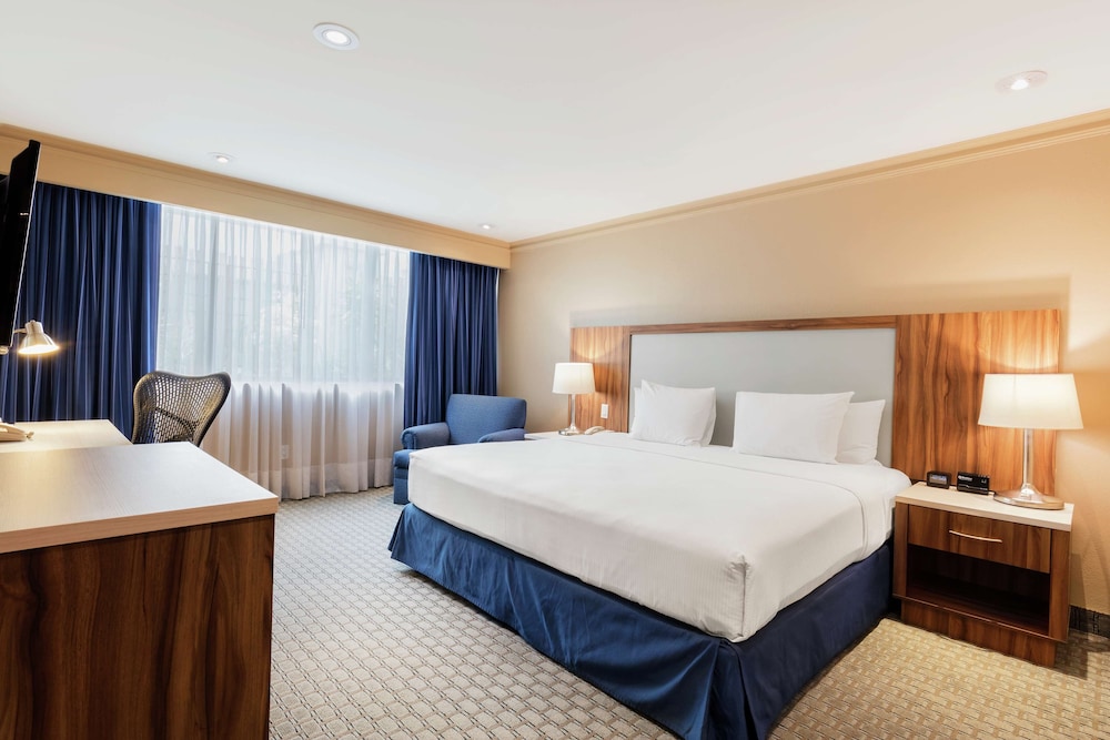 Room, 1 King Bed, City View