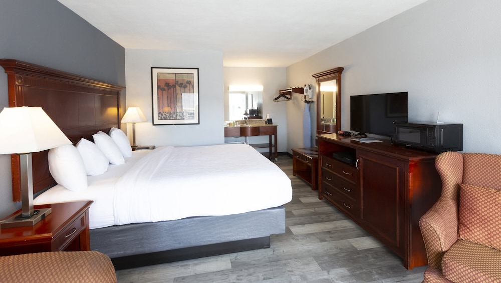 Room, 1 King Bed, Non Smoking photo 2