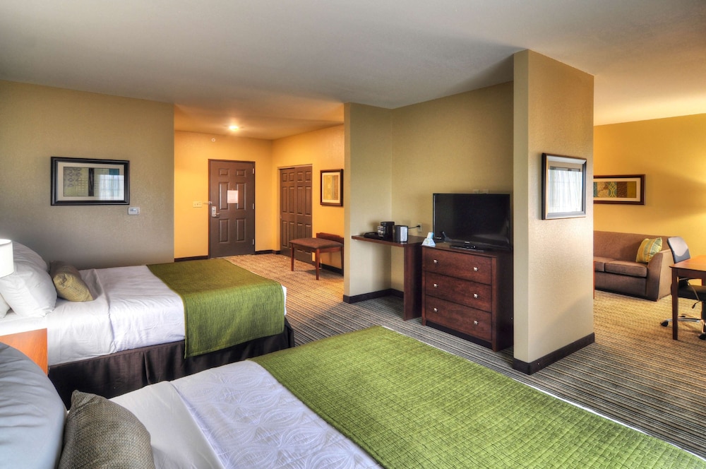 Suite, 1 King Bed with Sofa bed, Accessible, Kitchen (with Sofabed) photo 3