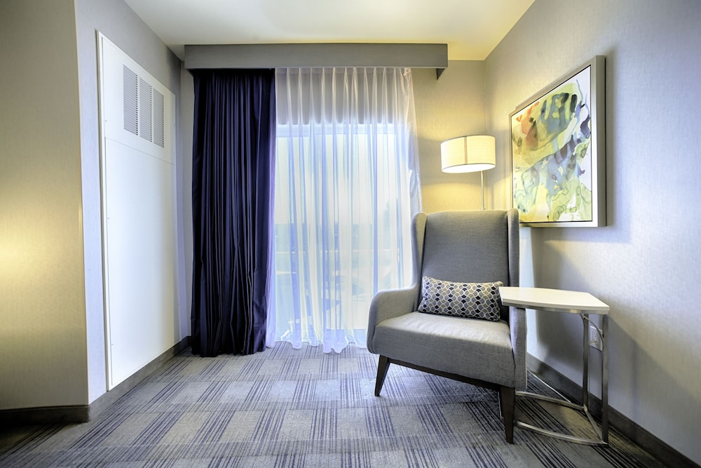 Room, 1 King Bed, Accessible, Corner (Roll-in Shower)