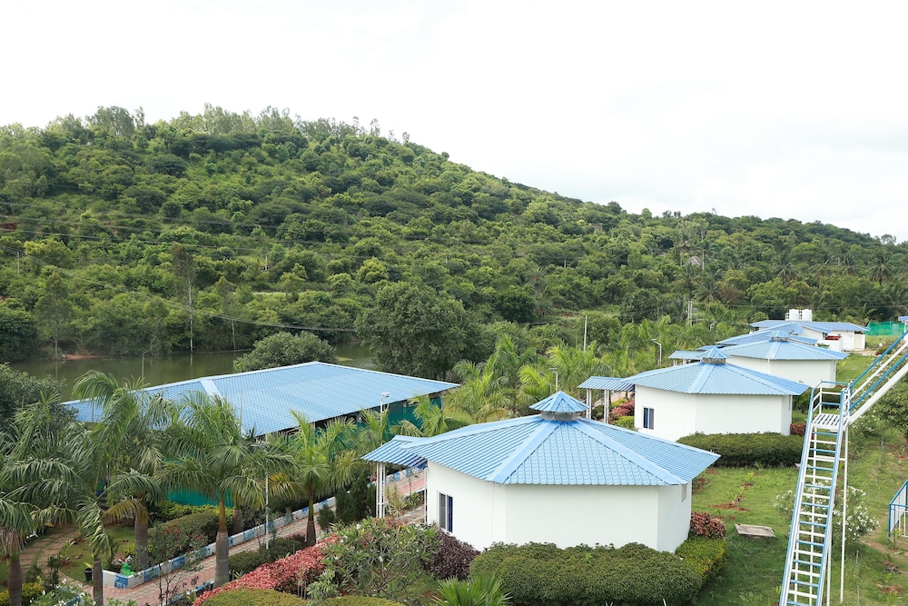 Lake View Huts