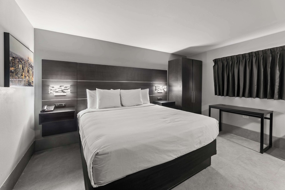 Room, 1 King Bed photo 1