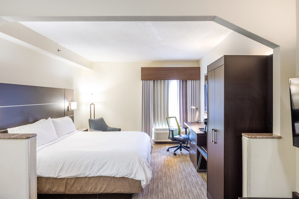 Suite, 1 King Bed - Photo 1