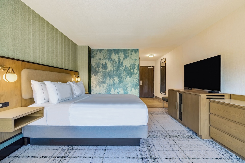 Room, 1 Queen Bed, Accessible (Mobility & Hearing, Roll-in Shower) - Photo 2