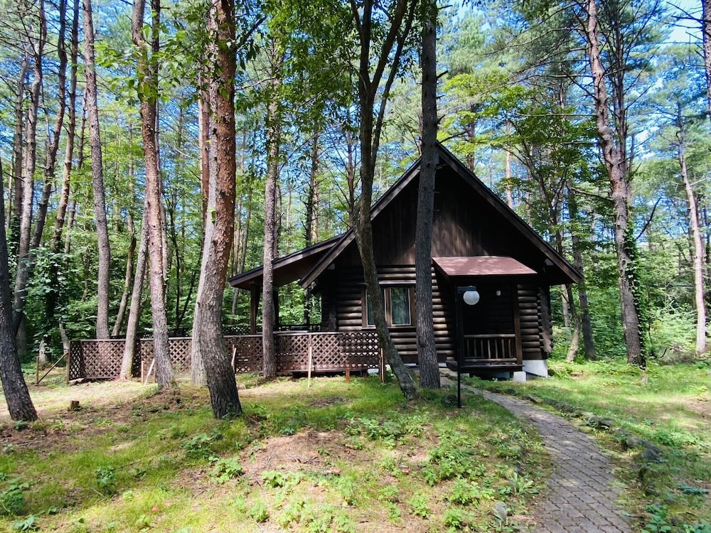 Private Cottage - Log Cabin - Photo 8