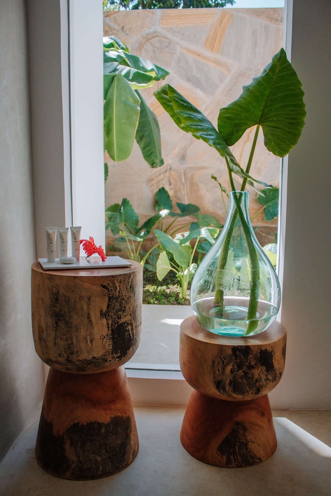 Jungle Suite