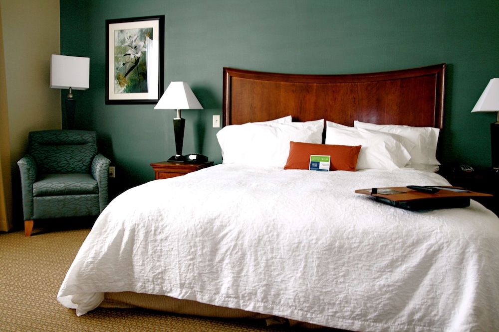 Room, 1 King Bed, Accessible, Non Smoking - Photo 3