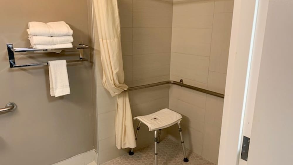 Standard Room, 1 Queen Bed, Accessible, Non Smoking - Photo 5