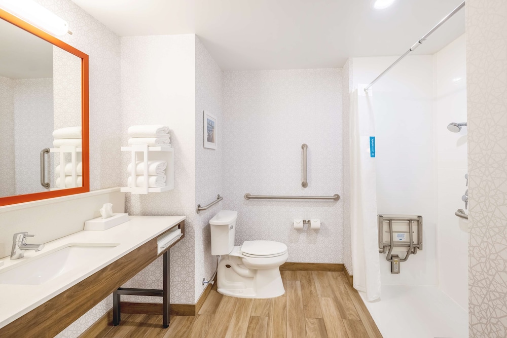 Room, 1 King Bed, Accessible (Roll-In Shower)
