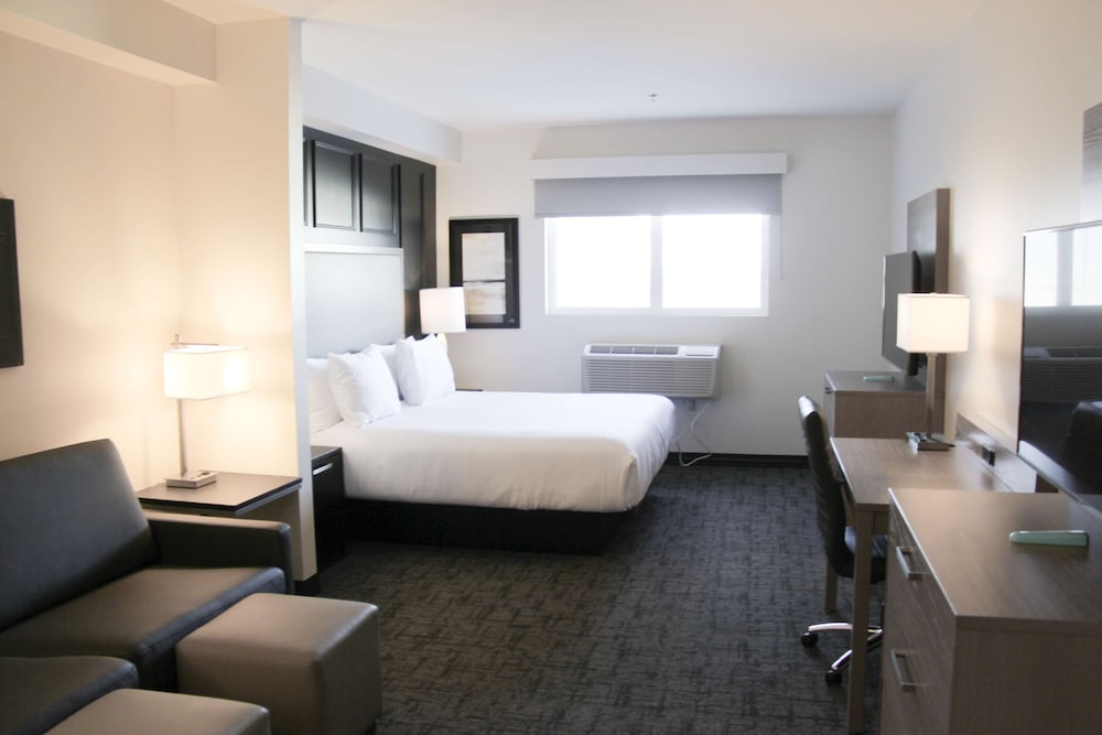 Suite, 1 King Bed, Non Smoking, Refrigerator & Microwave (Shower Only;with Sofabed) - Photo 3