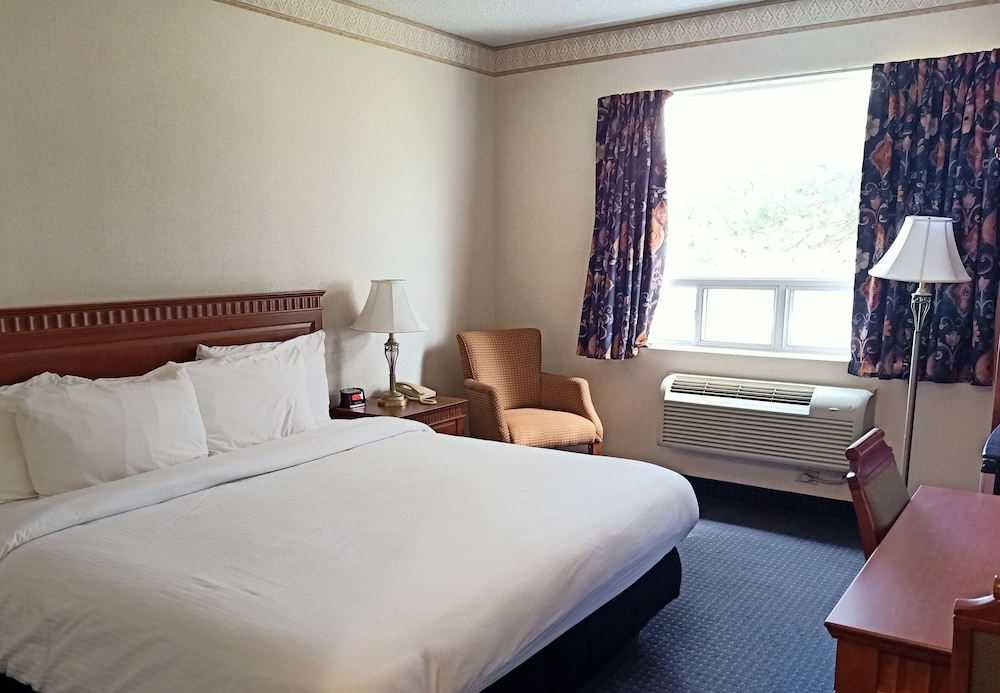 Room, 1 King Bed, Non Smoking photo 1
