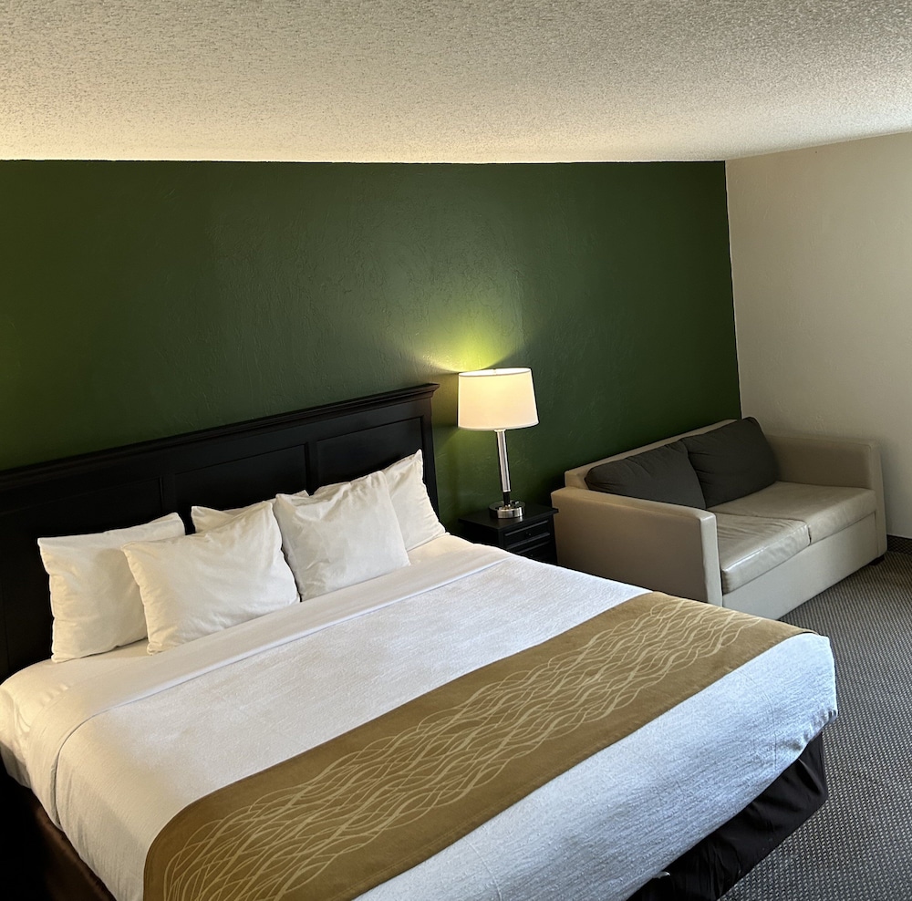 Room, 1 King Bed, Non Smoking - Photo 1