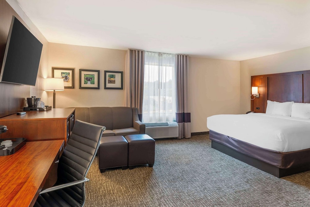 Room, 1 King Bed, Non Smoking (Larger Unit) - Photo 4