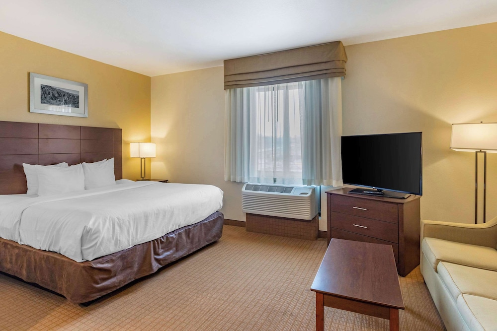 Suite, 1 King Bed with Sofa bed, Non Smoking (Efficiency, 2 Person Sofa bed) - Photo 4