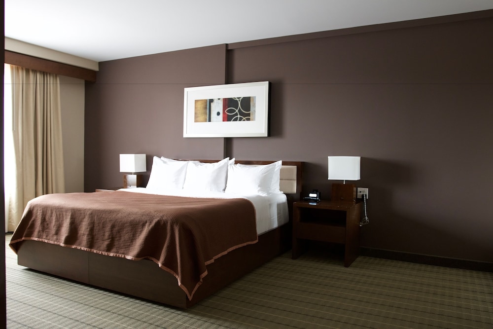 Suite, 1 Bedroom - Photo 1