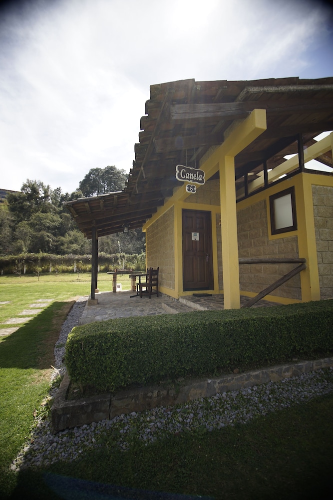 Elite Suite (Canela) photo 3