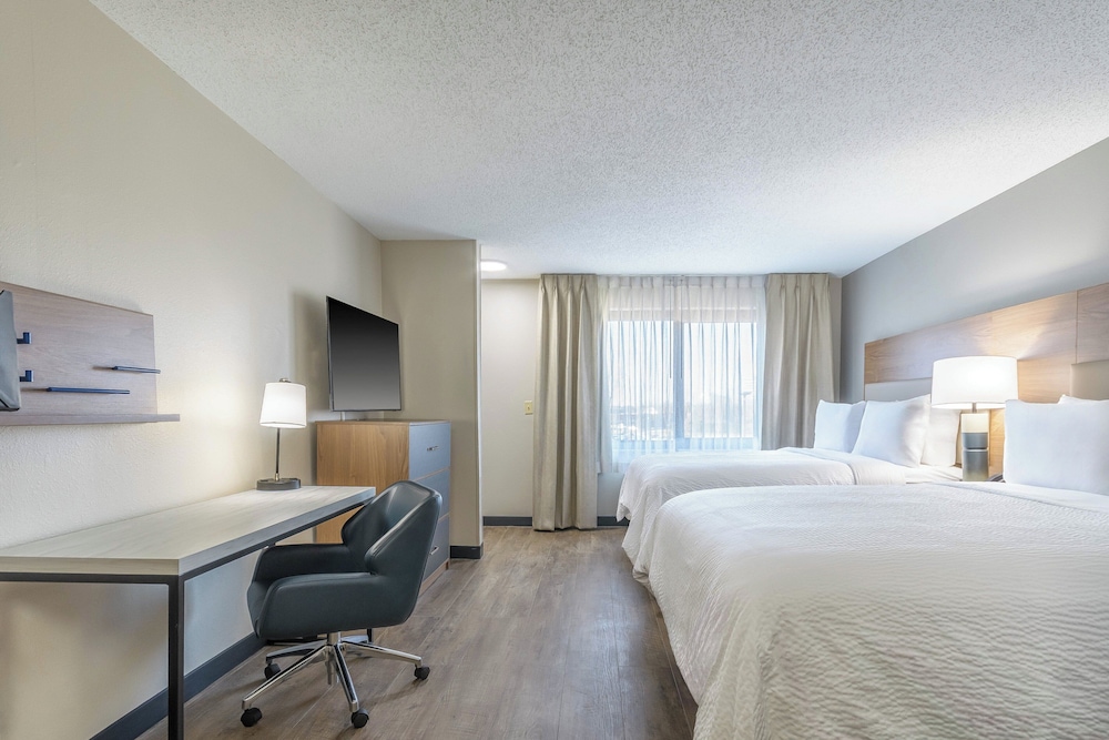 Studio Suite, 2 Queen Beds - Photo 11