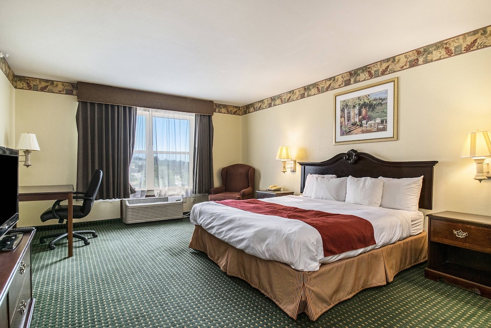 Room, 1 King Bed, Non Smoking