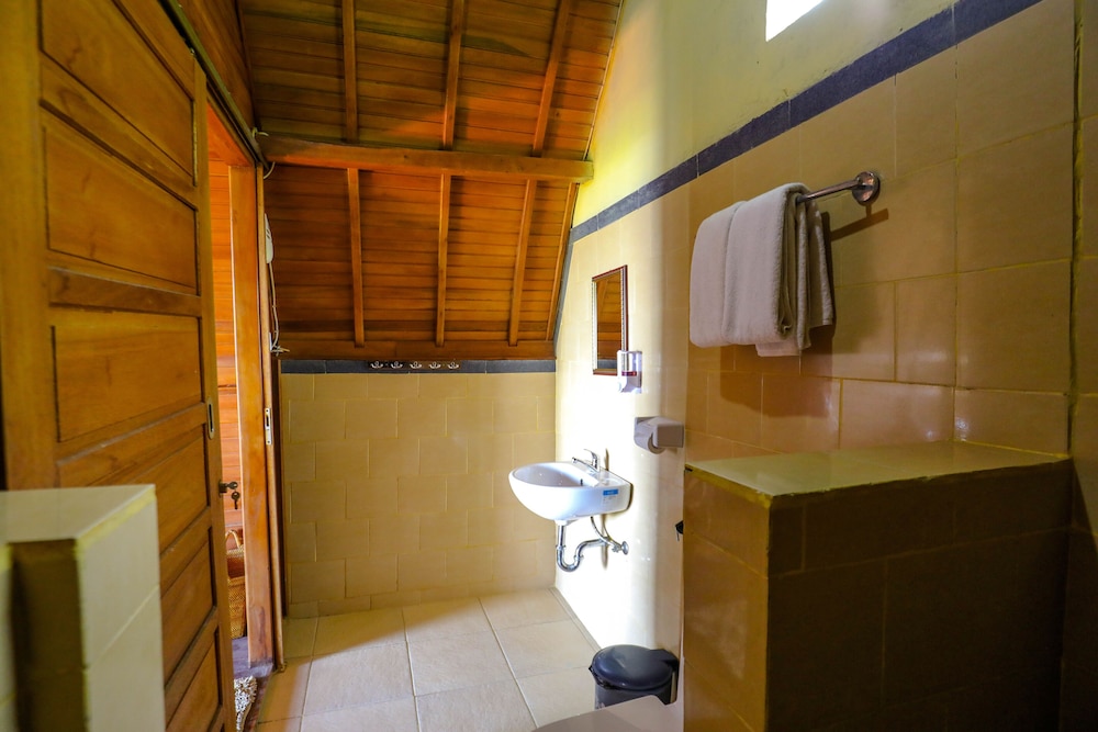 Deluxe Room - Photo 15