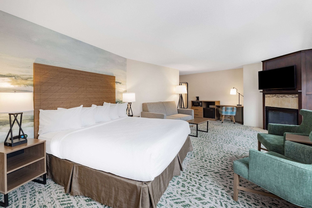 Suite, 1 King Bed, Non Smoking photo 2