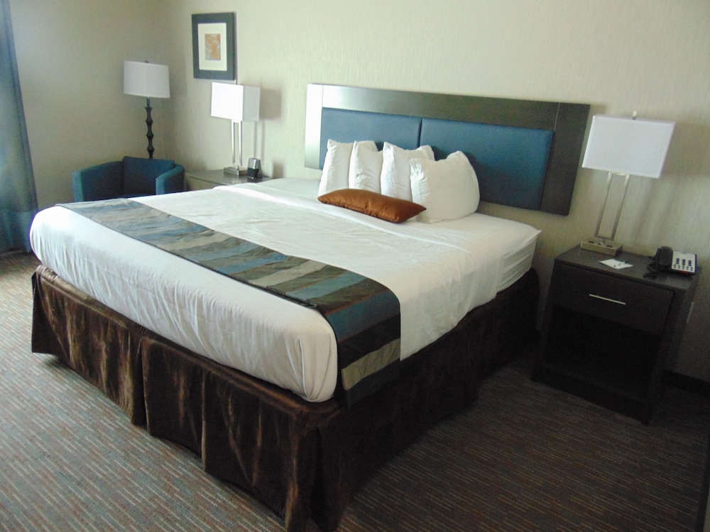 Room, 1 King Bed, Non Smoking
