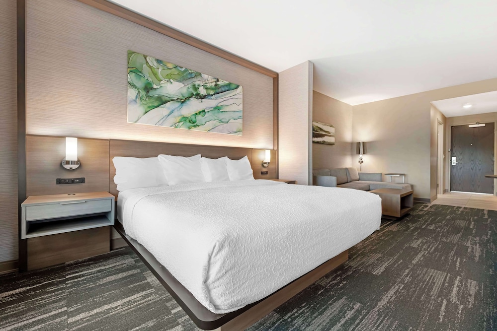 Suite, 1 King Bed, Non Smoking (with Sofabed) - Photo 1