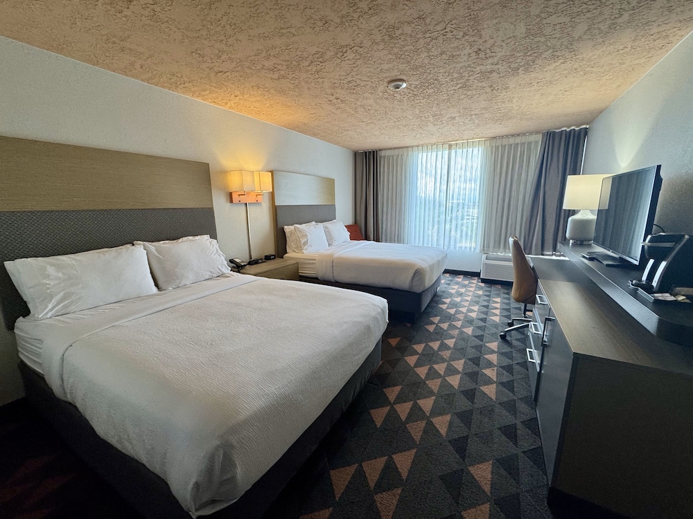 Studio Suite, 2 Queen Beds, Non Smoking - Photo 2
