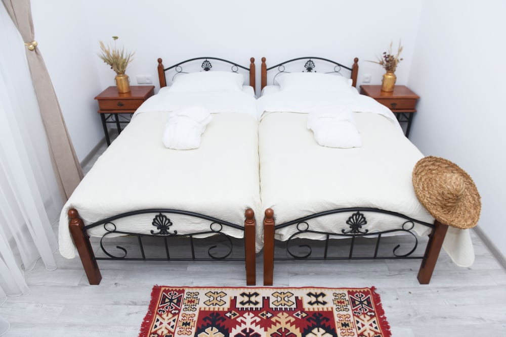 Standard Twin Room, Mountain View photo 1