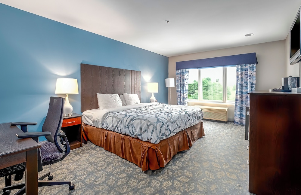 Deluxe Single Room, 1 King Bed (Deluxe King) photo 2