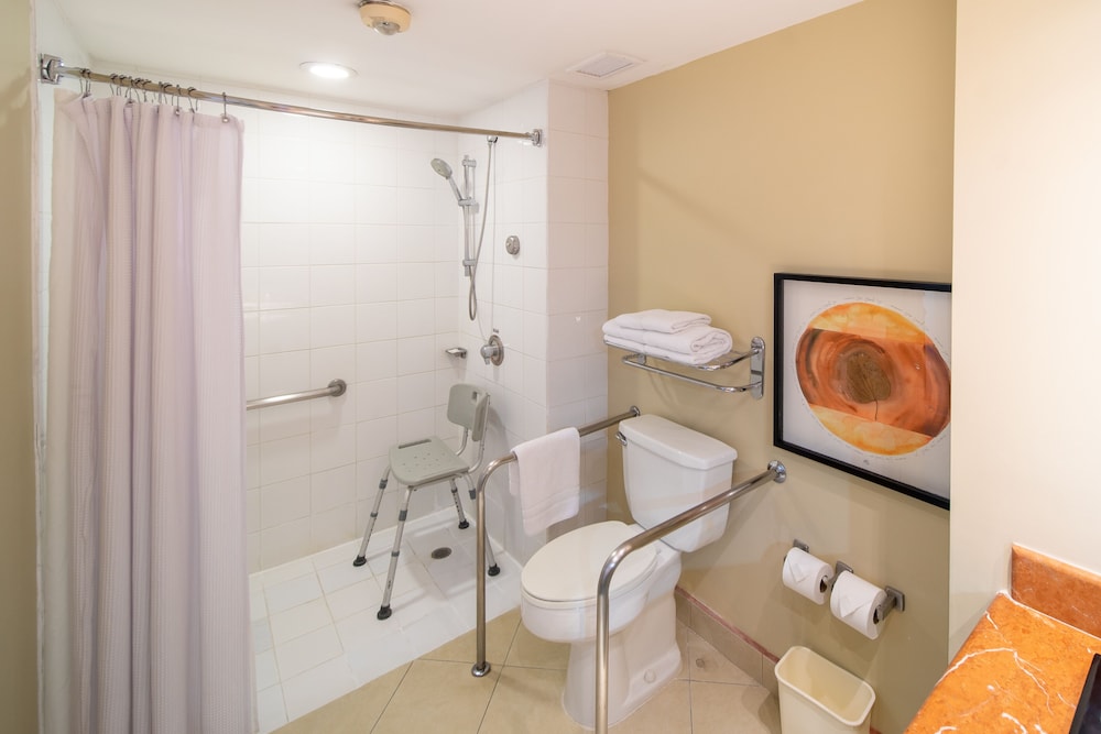 Room, 1 King Bed, Accessible