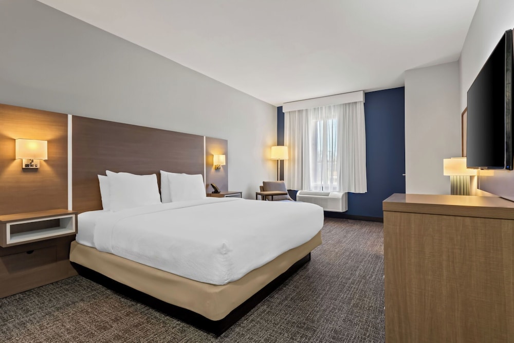 Room, 1 King Bed, Accessible (Mobility & Hearing, Roll-in Shower) - Photo 6