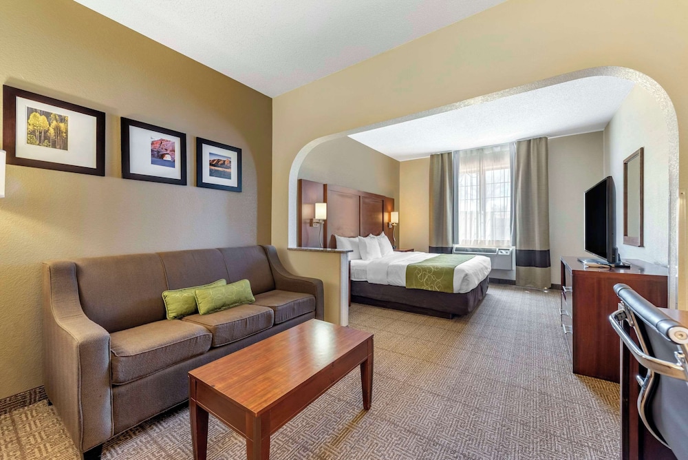 Business Suite, 1 King Bed with Sofa bed, Non Smoking (Pet Friendly) photo 3