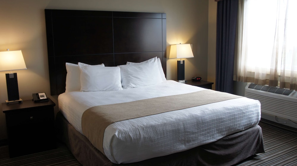 Suite, 1 King Bed, Non Smoking, Refrigerator & Microwave (with Sofabed) photo 2