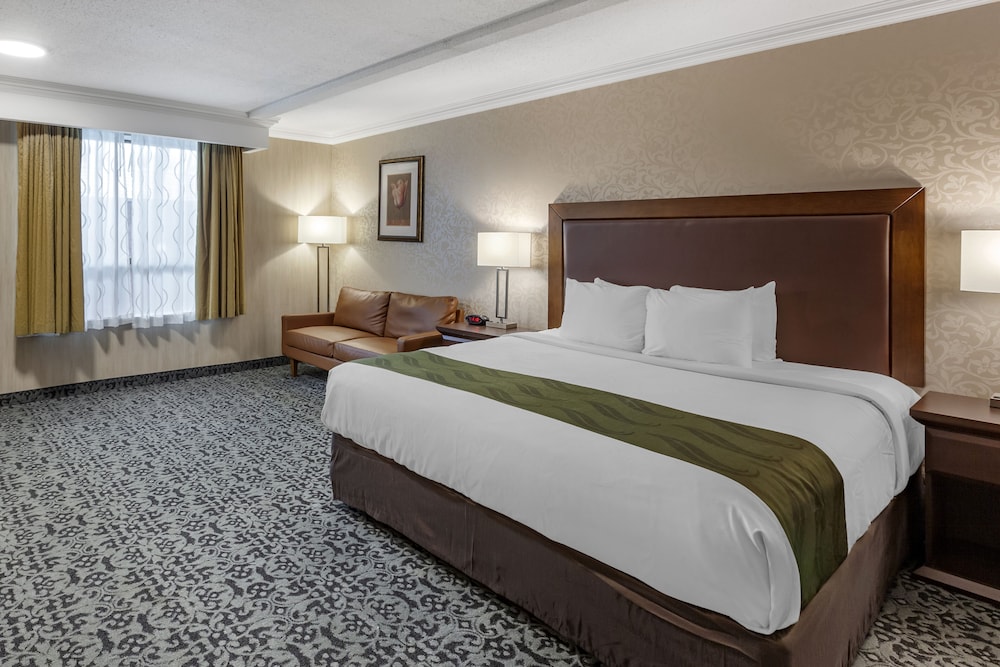 Suite, 1 King Bed, Non Smoking (Upgrade) - Photo 5