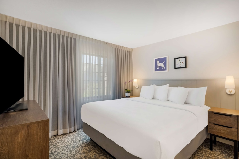 Suite, Multiple Beds - Photo 2
