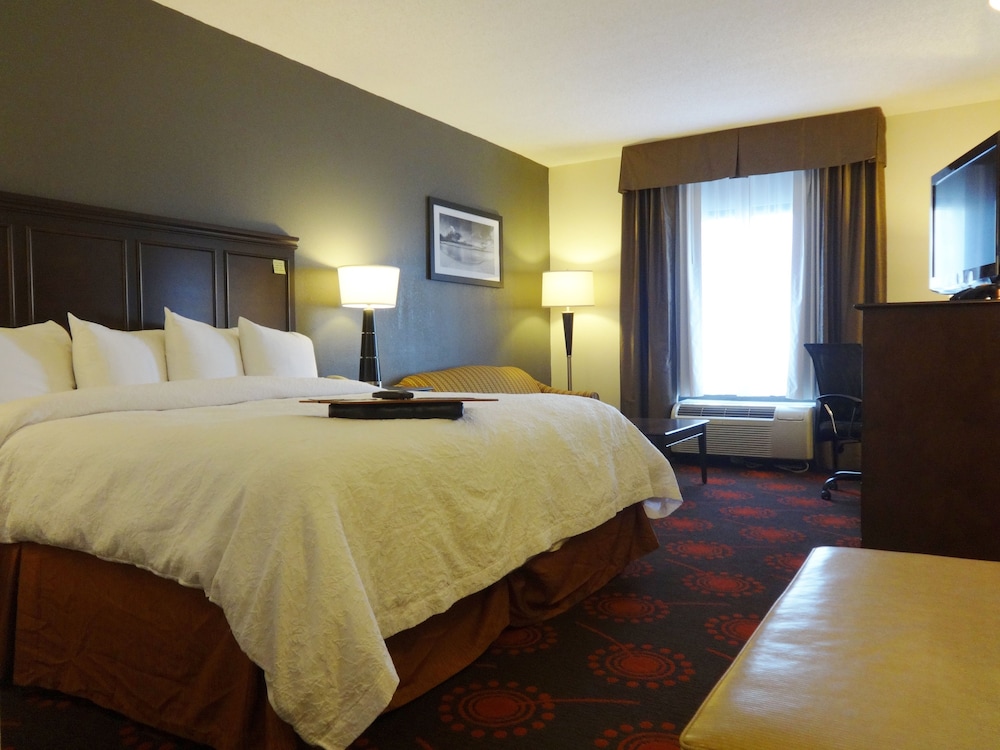 Suite, 1 King Bed, Accessible, Non Smoking - Photo 2
