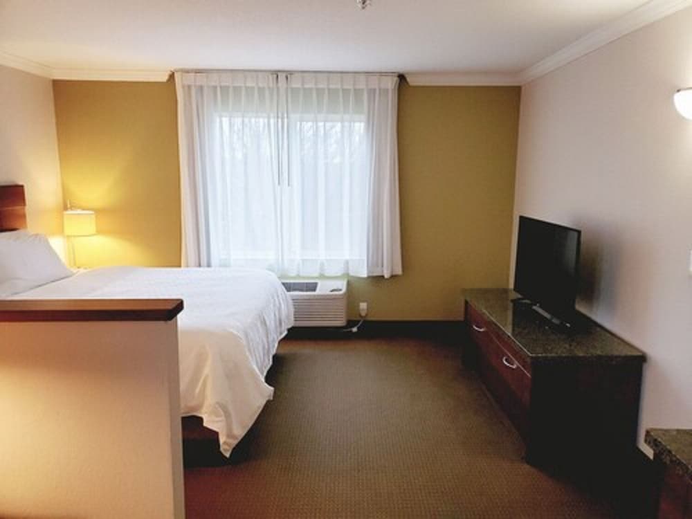 Suite, 1 King Bed with Sofa bed (Living Area) - Photo 5