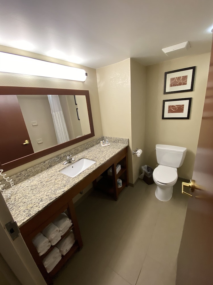 Two Queen Bed Suites with Sofa Bed - Photo 4