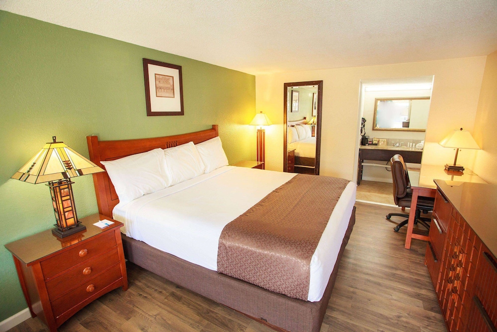 Room, 1 King Bed, Non Smoking - Photo 1