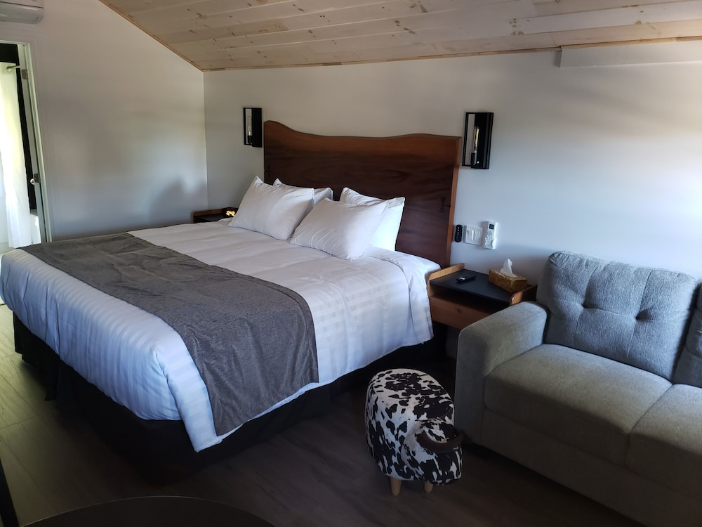 Premium Cabin - Photo 3
