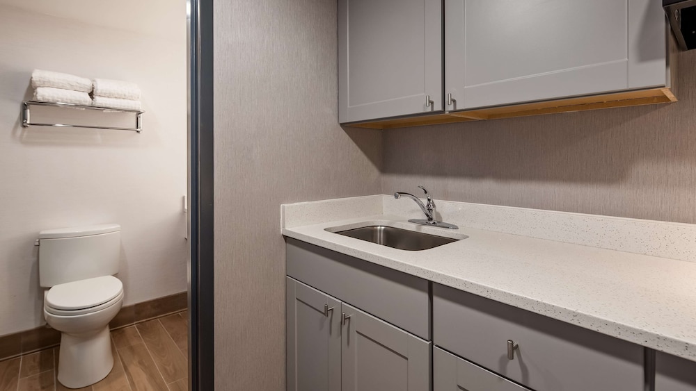 Standard Studio, 1 King Bed, Non Smoking, Kitchen, photo 6