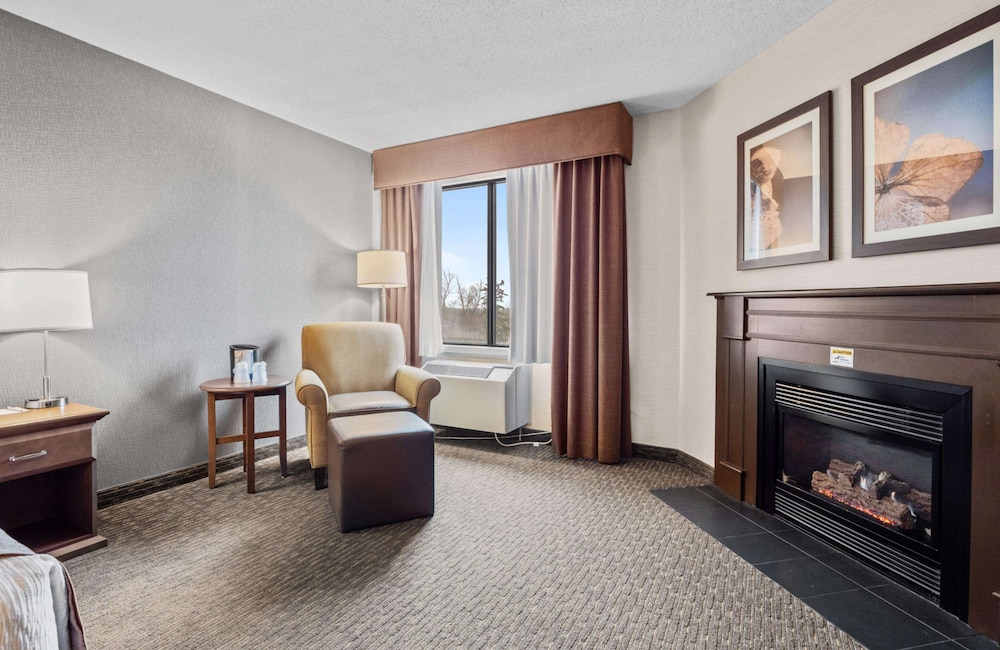 Standard Room, 1 King Bed, Fireplace, Tower - Photo 3