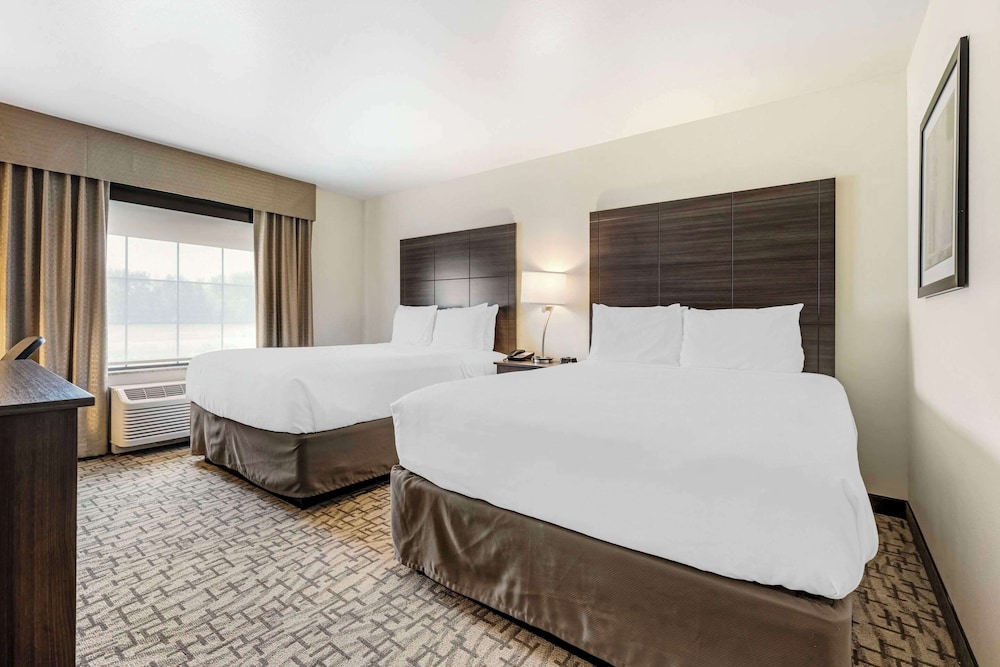 Room, Multiple Beds, Accessible, Non Smoking photo 1