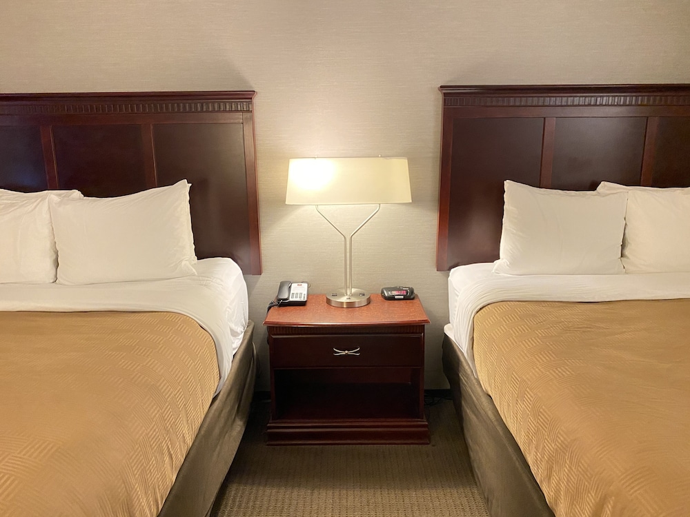 Suite, Multiple Beds, Non Smoking photo 2