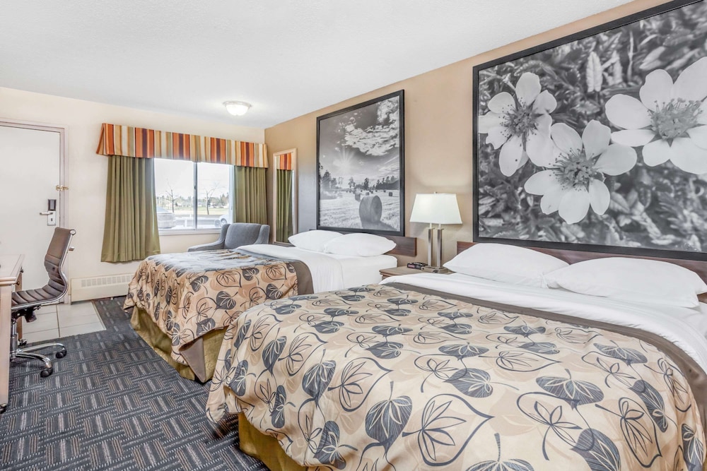 Efficiency, Room, 2 Queen Beds, Non Smoking - Photo 2