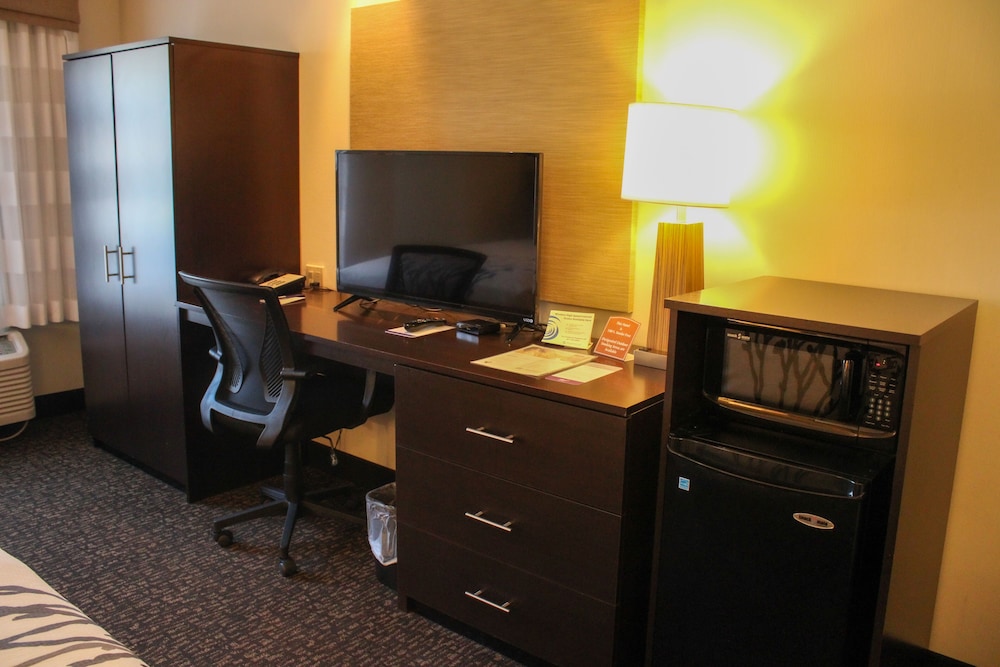 Room, 1 King Bed, Accessible, Non Smoking (No Pets) - Photo 6