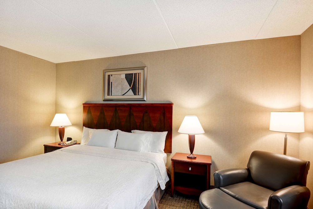 Room, 1 King Bed, Accessible (Mobility & Hearing, Roll-In Shower) photo 1