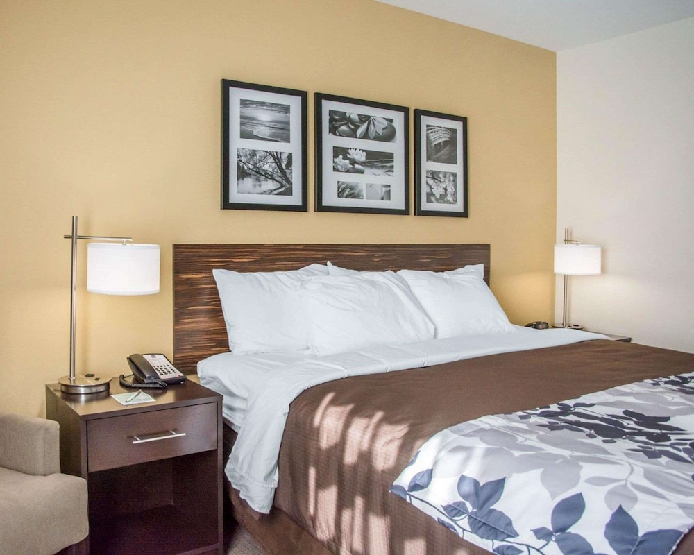 Standard Room, 1 King Bed, Non Smoking